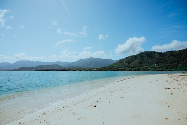 Foto strand und meer in hawaii, pazifik