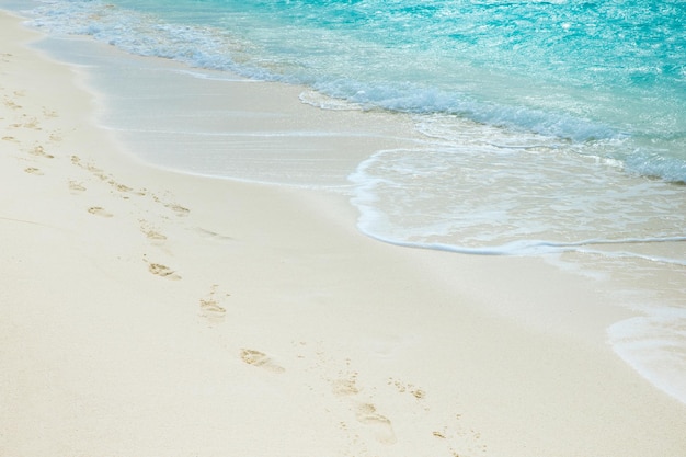 Strand- und tropische Meeresstrandlandschaft