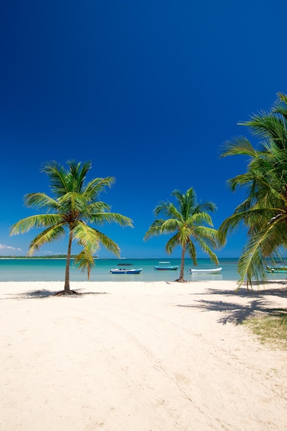 Strand und tropischen Meer