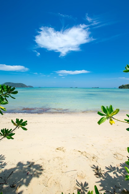 Strand und tropischen Meer