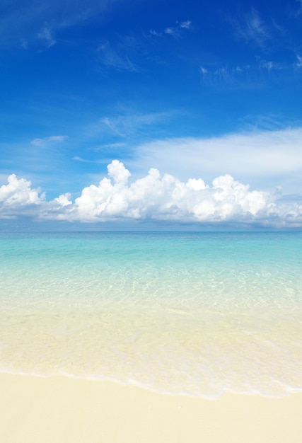 Strand und tropischen Meer