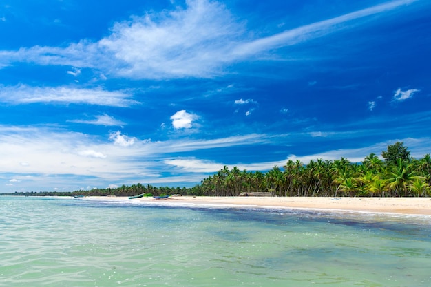 Strand und tropischen Meer