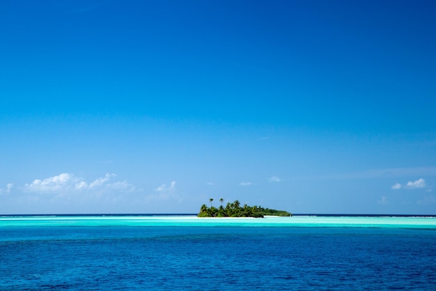 Strand und tropischen Meer