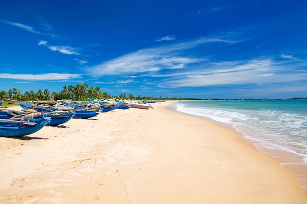 Strand und tropischen meer