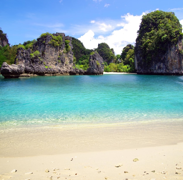 Strand und tropischen Meer