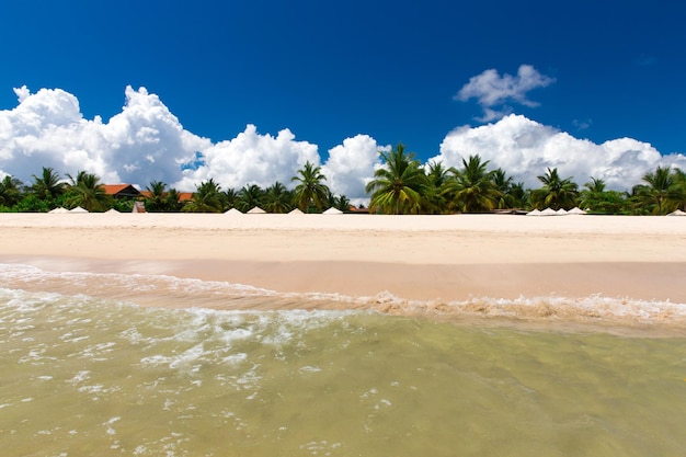 Strand und tropischen Meer