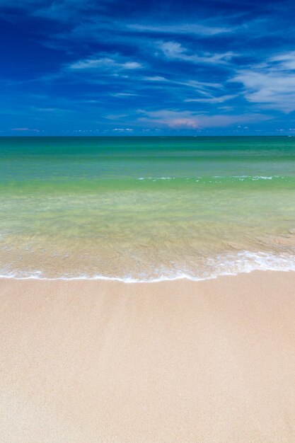 Strand und tropischen Meer