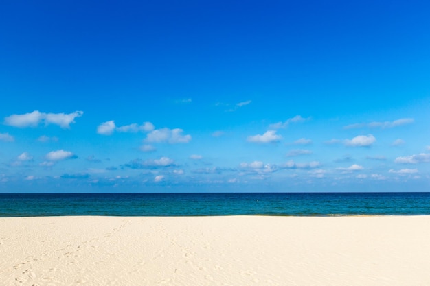 Strand und tropischen Meer