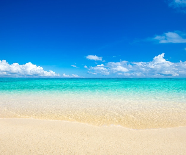 Strand und tropischer Meerhorizonthintergrund