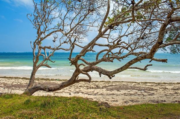 Strand und tropisches Meer. Himmel und Meer