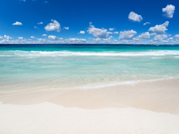 Strand und tropisches Meer. Natur Hintergrund