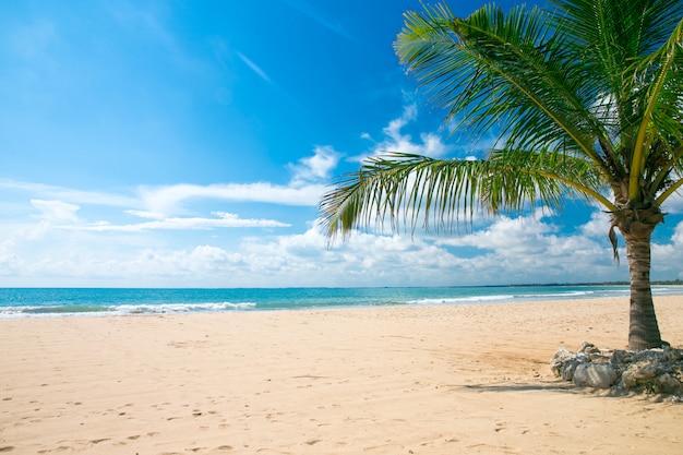 Strand und tropisches Meer