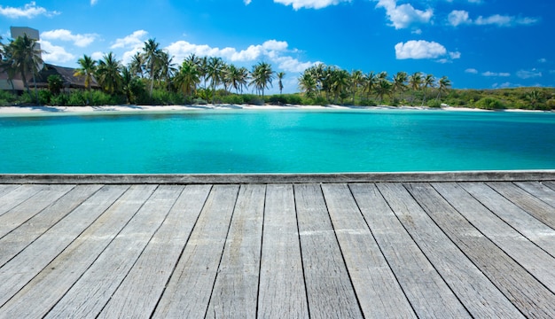 Strand und tropisches Meer