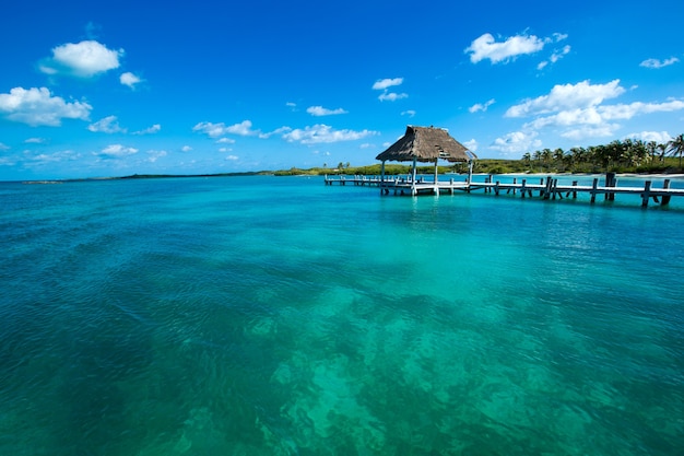 Strand und tropisches Meer