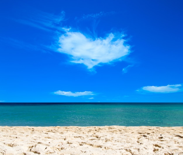 Strand und tropisches Meer