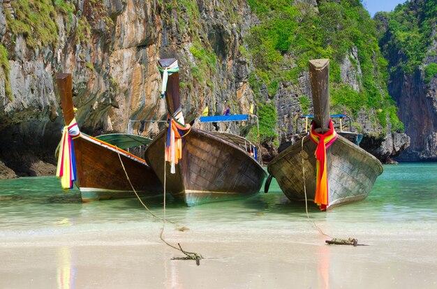 Strand und tropisches Meer