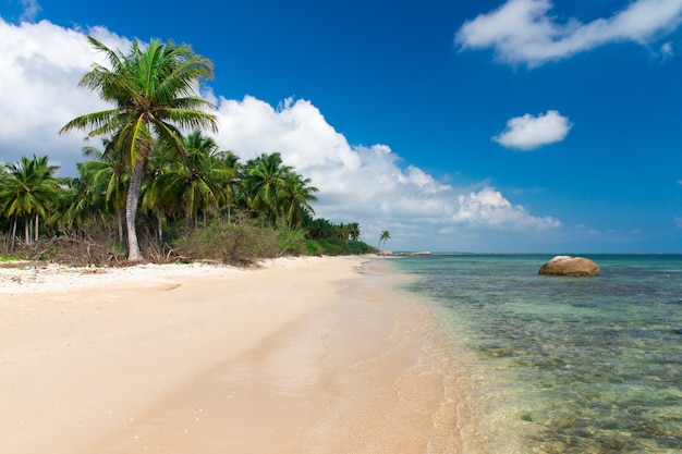 Strand und tropisches Meer