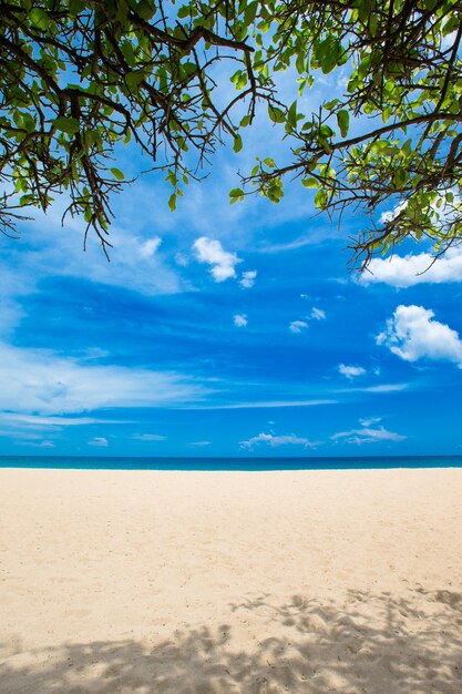 Strand und tropisches Meer