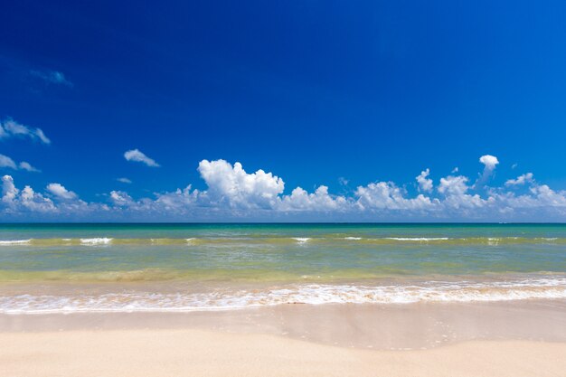 Strand und tropisches tropisches Strandmeer