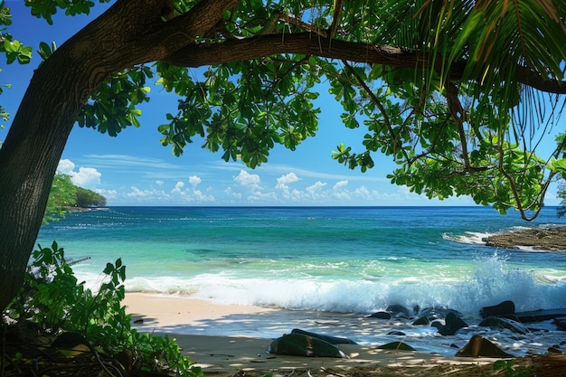 Strand und wunderschönes tropisches Meer