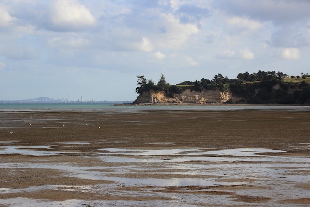 Strand von Auckland Neuseeland