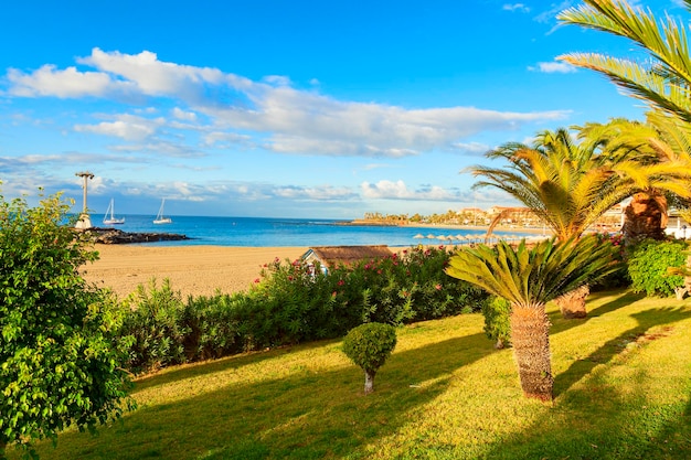 Strand von Los Cristianos