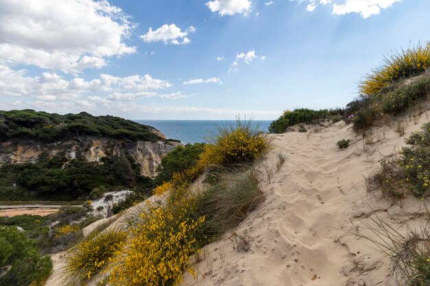 Strand von Mazagon in der Provinz Huelva Spanien Einer der schönsten Strände Spaniens