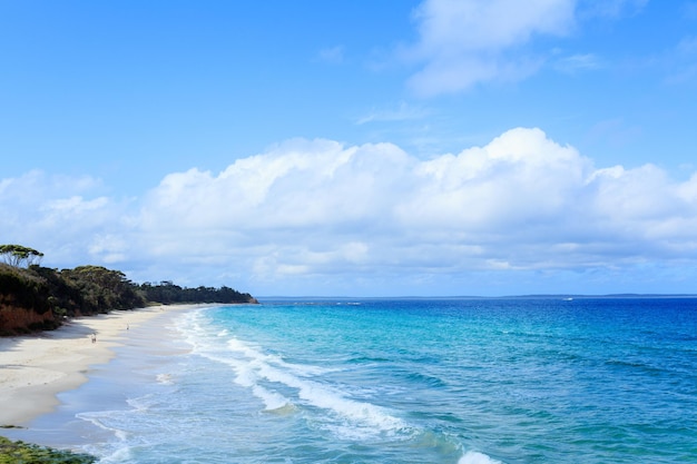 Strand von New South Wales