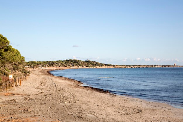 Strand von Salinas auf Ibiza, Spanien