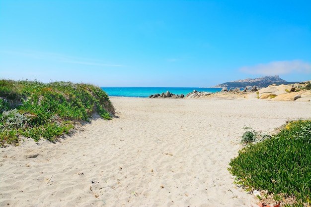 Strand von Santa Reparata an einem klaren Tag Sardinien
