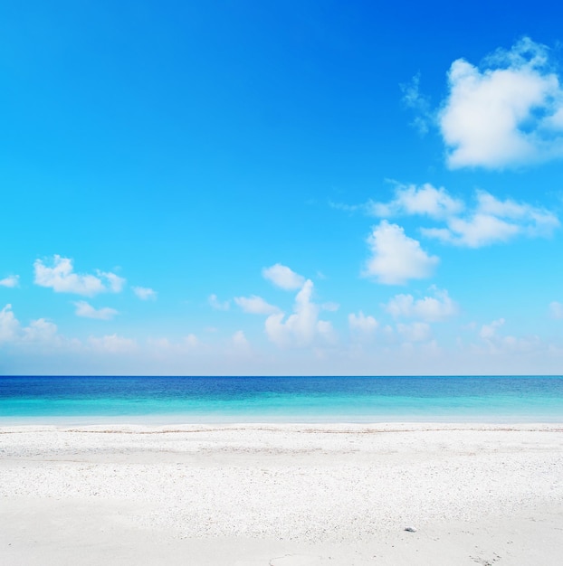 Strand von Stintino an einem klaren Tag mit flauschigen Wolken