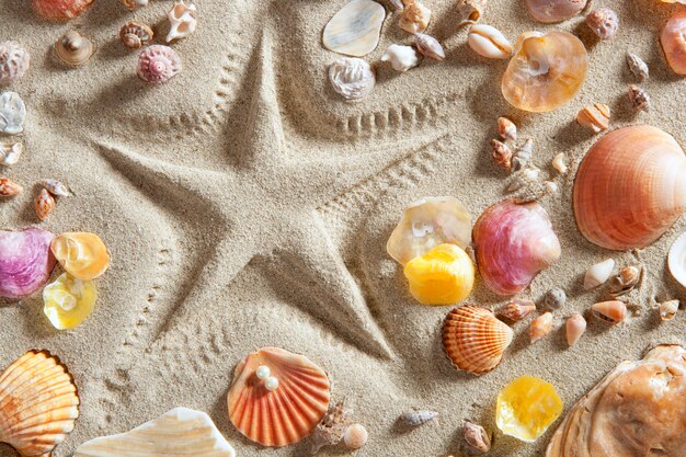 Strand weißer Sand Seestern drucken viele Muschelschalen