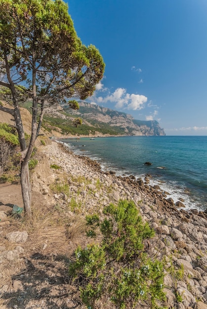 Strand zwischen Felsen und Meer Schwarzes Meer Ukraine