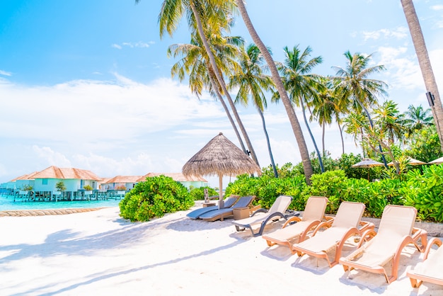 Foto strandkorb mit tropischen malediven insel strand und meer