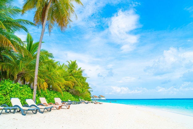 Strandkorb mit tropischer Malediven Resort Hotelinsel und Meer