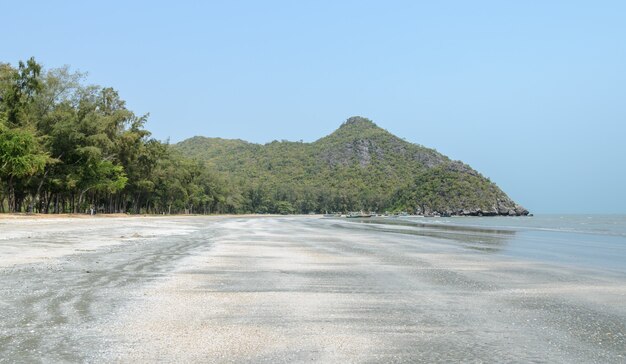 Strandlandschaft mit felsigem Berg bei Ebbe