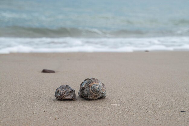 Strandlandschaft