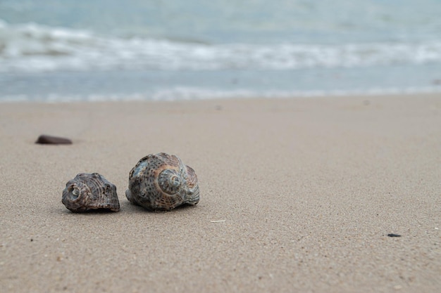 Strandlandschaft