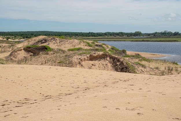 Strandlandschaft