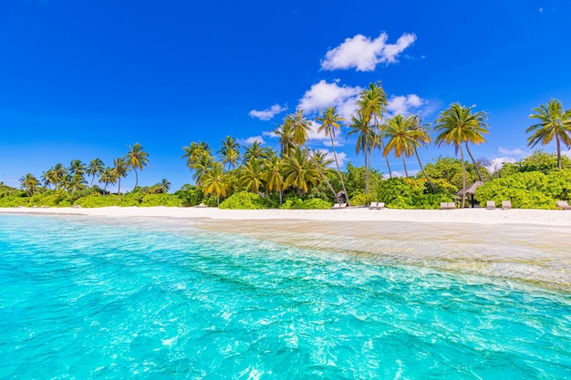 Strandnatur Palmenmeer Sandstrand in tropischer idyllischer Paradiesinsel Exotische Landschaft zum Träumen