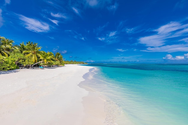 Strandnaturkonzept Palm Beach Küste in tropischer idyllischer Paradiesinsel Exotische Landschaft malerisch