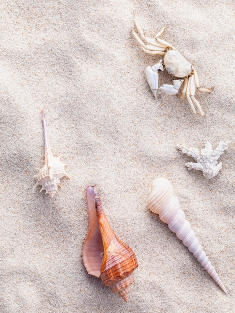 Strandsand für Sommer- und Strandkonzept.