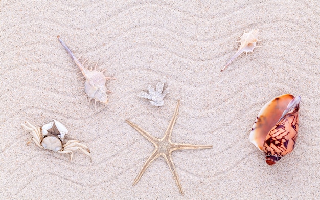 Foto strandsand für sommer- und strandkonzept.