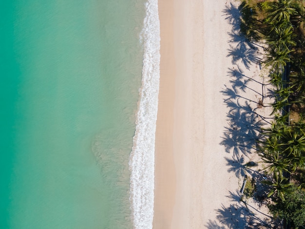 Strandsand und Palme am Strand