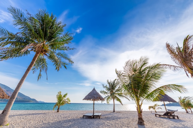 Strandstühle, Regenschirm und Palmen auf dem schönen Strand für Feiertage und Entspannung in Koh Lipe-Insel, Thailand