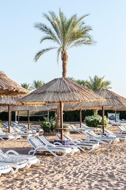 Strandstühle und Regenschirme am Strand