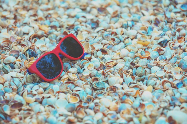 Strandszene Sonnenbrillen, die auf Muscheln liegen