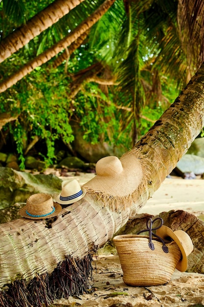 Strandtasche und Hüte von Palme