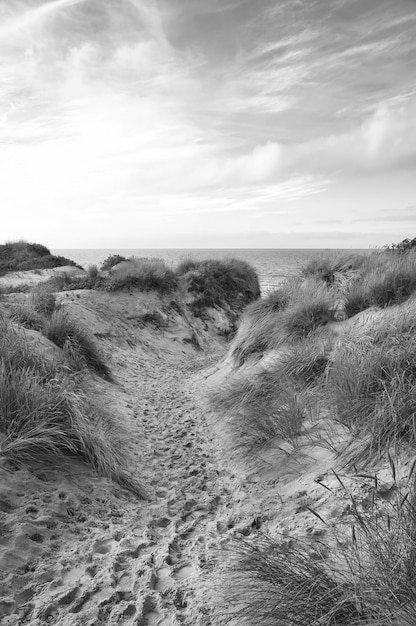 Strandüberquerung in Dänemark am Meer, aufgenommen in Schwarz-Weiß-Dünen-Sandwasser