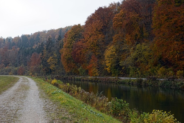 Straße am Fluss Isar gegen Bäume im Herbst